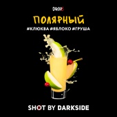 DarkSide SHOT Полярный 30gr