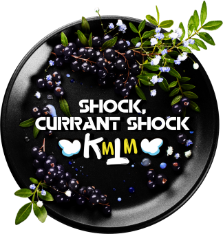 BURN Black Currant Shock 100gr (Кислая Черная Смородина)