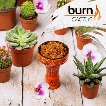 BURN Cactus 100gr