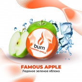 BURN Famous Apple 25gr