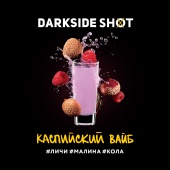 DarkSide SHOT Каспийский вайб 30gr