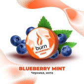 BURN Blueberry Mint 25gr