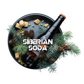 BURN Black Siberian Soda 25gr (Байкал)