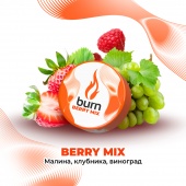 BURN Berry Mix 25gr