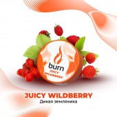 BURN Juicy Wildberry 25gr
